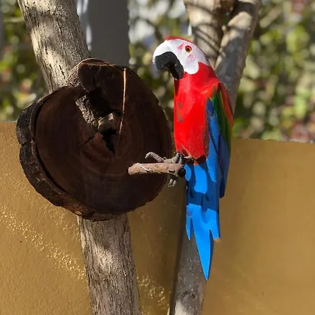 Lux Tavira Homes - Birds Of Paradise *