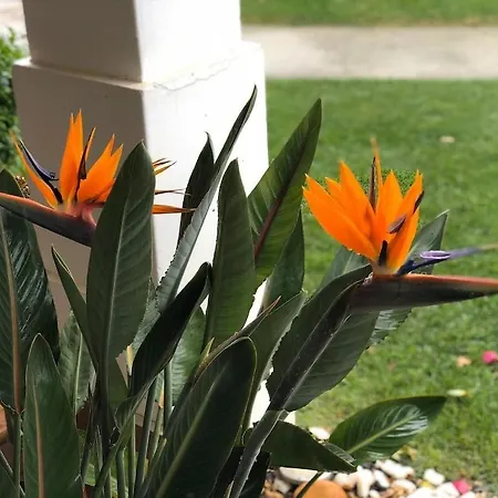 Holiday home Lux Tavira Homes - Birds Of Paradise